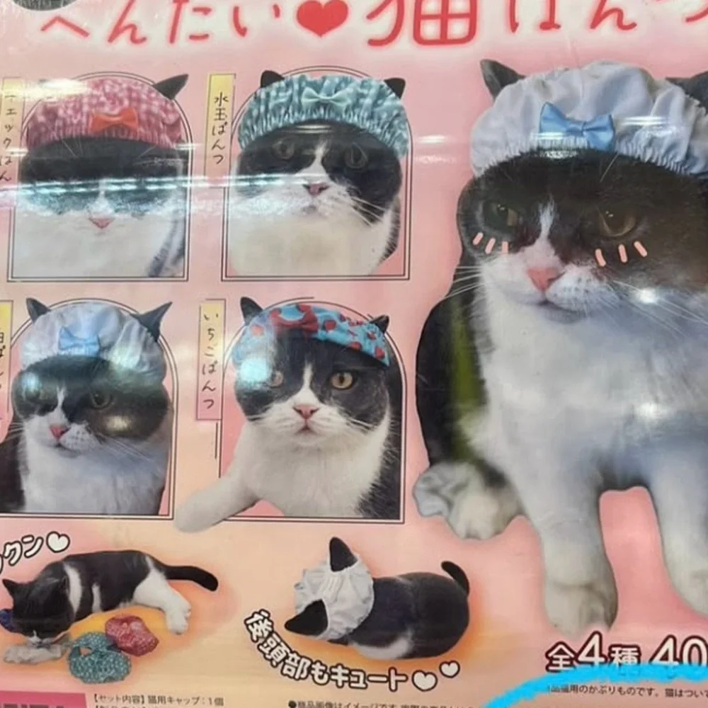 Japan gashapon cat underwear hat